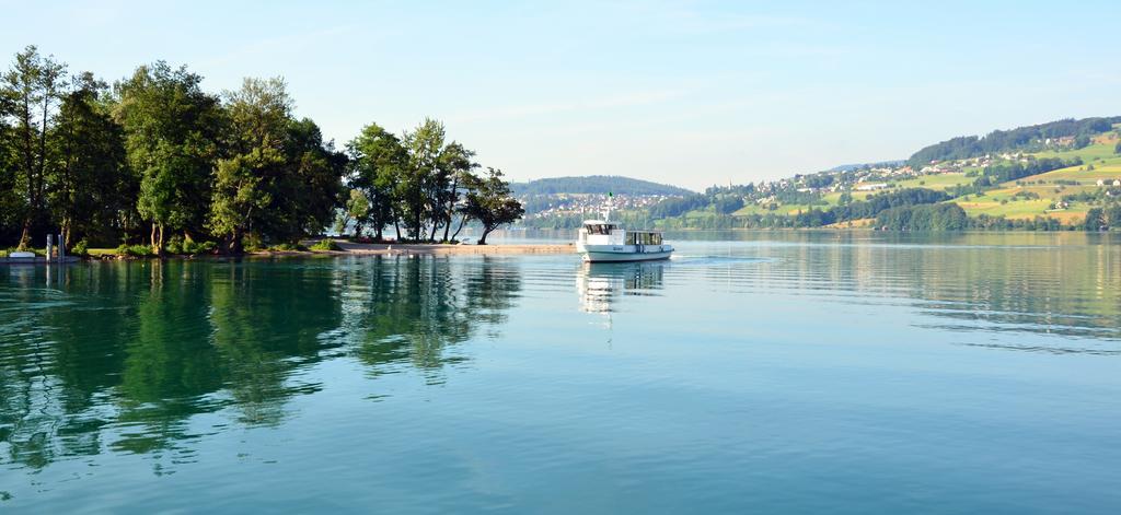 Seehotel Delphin Meisterschwanden Esterno foto