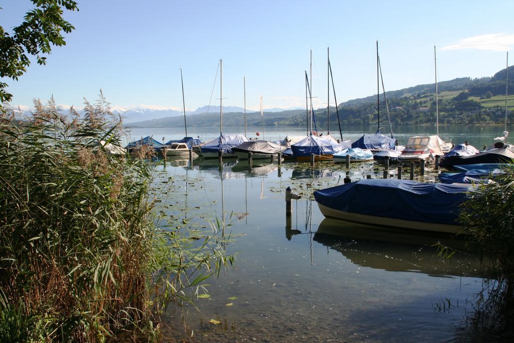 Seehotel Delphin Meisterschwanden Esterno foto