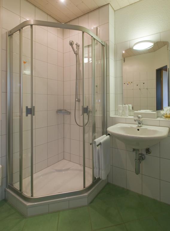 Seehotel Delphin Meisterschwanden Camera foto